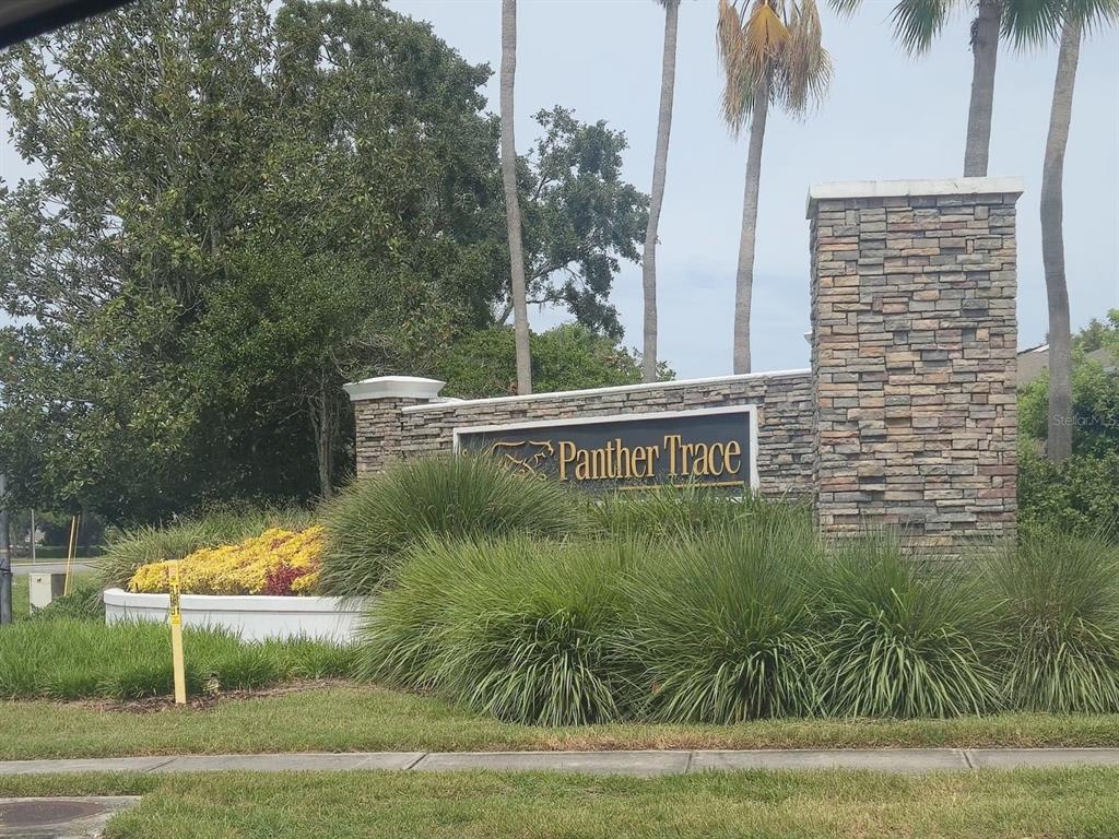 12307 FOXMOOR PEAK DR, RIVERVIEW, FL — photo 2 of 30