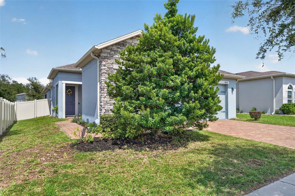 2818 BIGLEAF MAPLE DRIVE, OCOEE, FL — photo 2 of 30