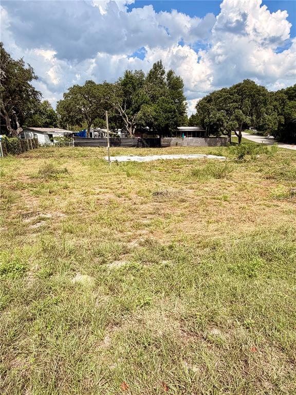 A vacant, grassy lot with scattered trees under a cloudy sky — 18351 SE 20TH PLACE, SILVER SPRINGS, FL