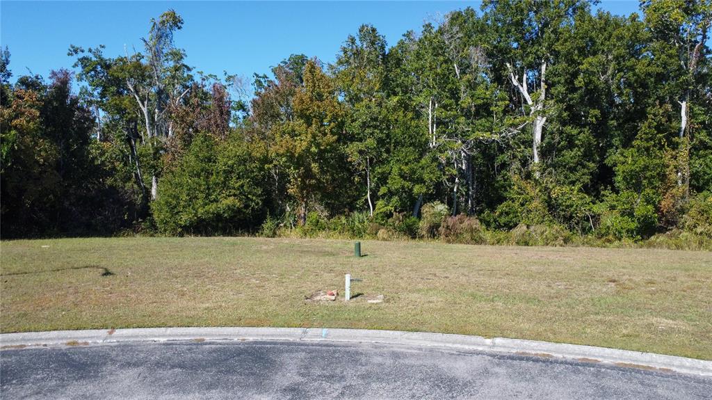 A vacant, grassy residential lot sits in front of a dense line of trees — 0 FOREST GLENN DRIVE, SPRING HILL, FL