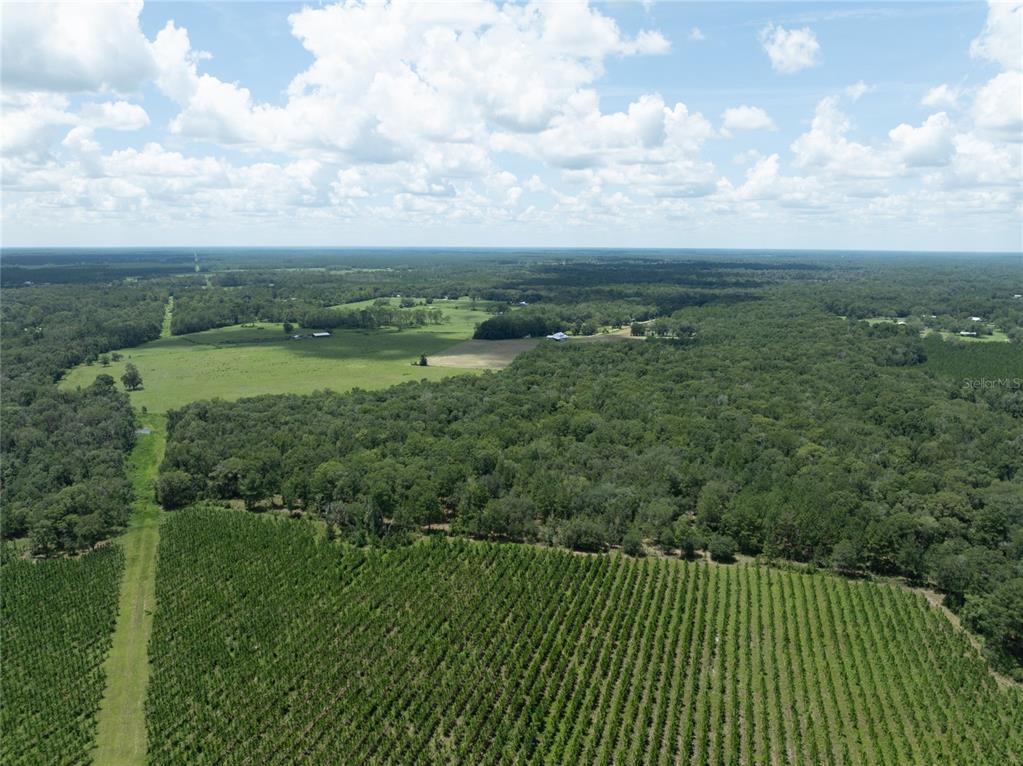 An aerial view shows a large agricultural field, dense forest, and a distant farmhouse — 0 NW CR 225, STARKE, FL