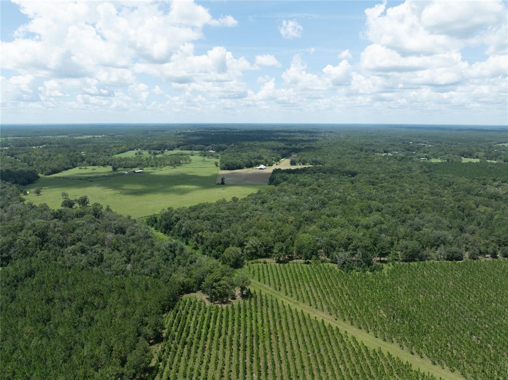 An aerial view shows a large rural landscape with pastures, dense forests, and planted rows — 0 NW CR 225, STARKE, FL