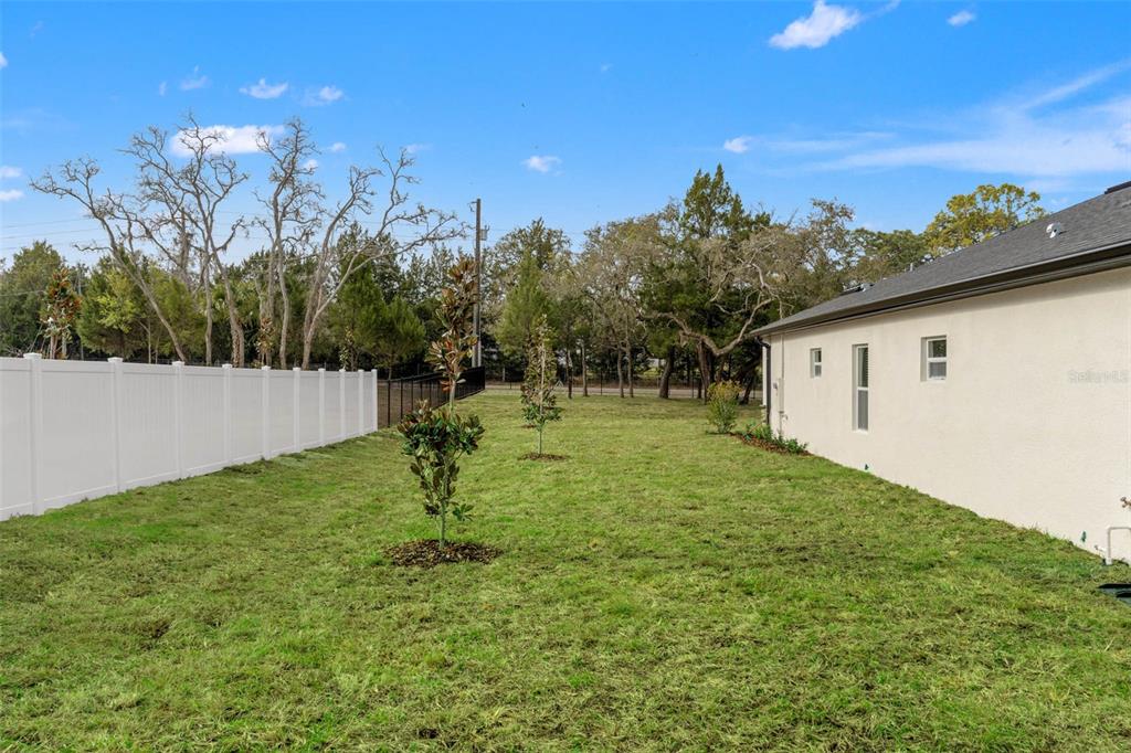A grassy backyard features a white vinyl fence, young trees, and the side of a house — 14905 PEACE BOULEVARD, SPRING HILL, FL