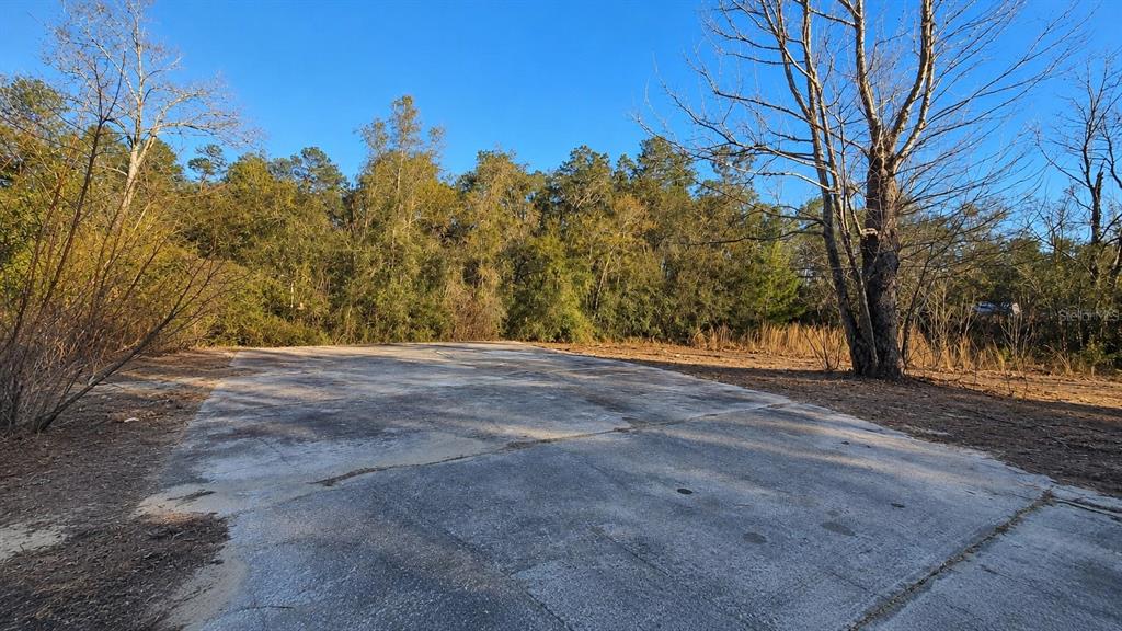 A concrete slab sits in a wooded lot under a clear blue sky — 14175 SE 209TH TERRACE, UMATILLA, FL
