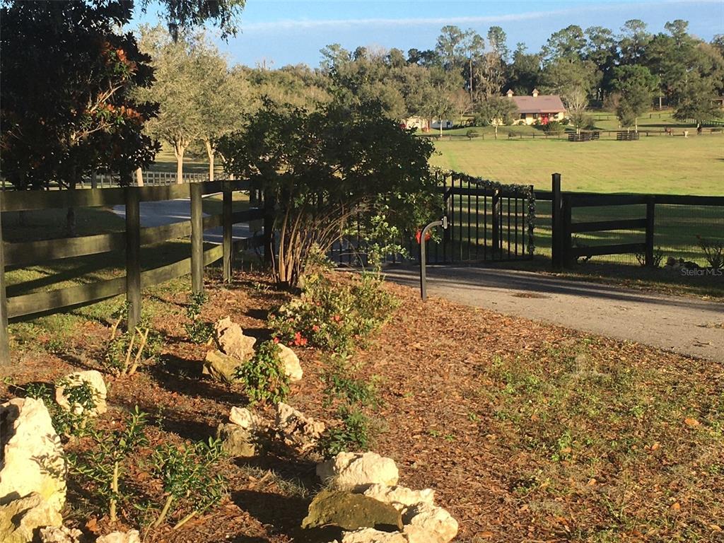 A paved road runs past a grassy field enclosed by a wooden fence under large trees — 9549 NW 80TH AVENUE, OCALA, FL