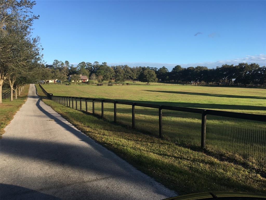 Three horses graze in a grassy pasture enclosed by a wooden fence — 9549 NW 80TH AVENUE, OCALA, FL