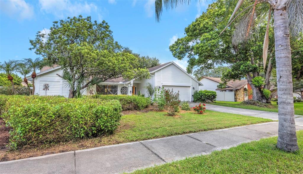 A white single-story house with a two-car garage, large trees, and a manicured hedge — 1620 COUNTRY LANE, DUNEDIN, FL
