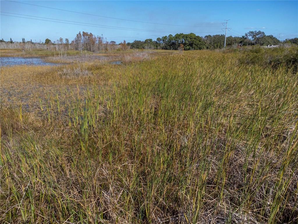 A grassy wetland area with patches of water under a clear blue sky — NO ADDRESS ASSIGNED, HOLIDAY, FL