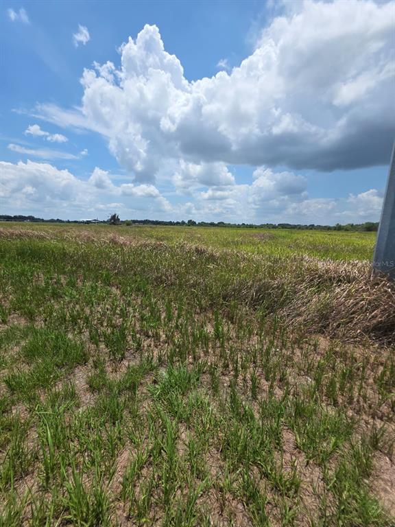 A large, flat, grassy field under a bright blue sky with scattered white clouds — METHENY RD, PARCEL C, WAUCHULA, FL