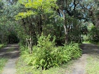 2310 SALT CREEK TRAIL, OVIEDO, FL — photo 5 of 10