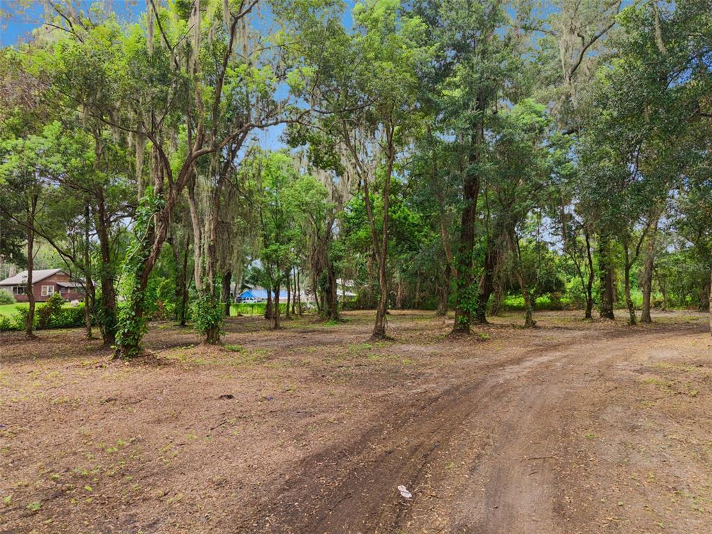 A wooded, dirt-covered lot features tall trees with Spanish moss and a nearby house — 860 E LISA LANE, APOPKA, FL