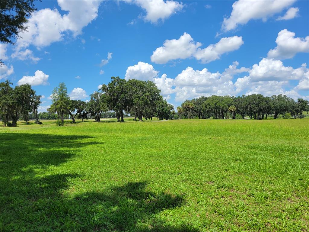 A wide, grassy field features scattered mature oak trees under a bright blue sky — 0 SE 61ST TERRACE ROAD UNIT 16, SUMMERFIELD, FL