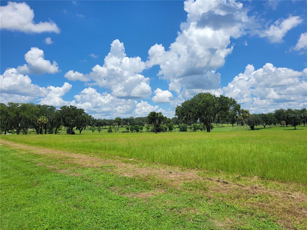 A wide, grassy field stretches toward a line of trees under a bright, cloudy sky — 0 SE 61ST TERRACE ROAD UNIT 16, SUMMERFIELD, FL