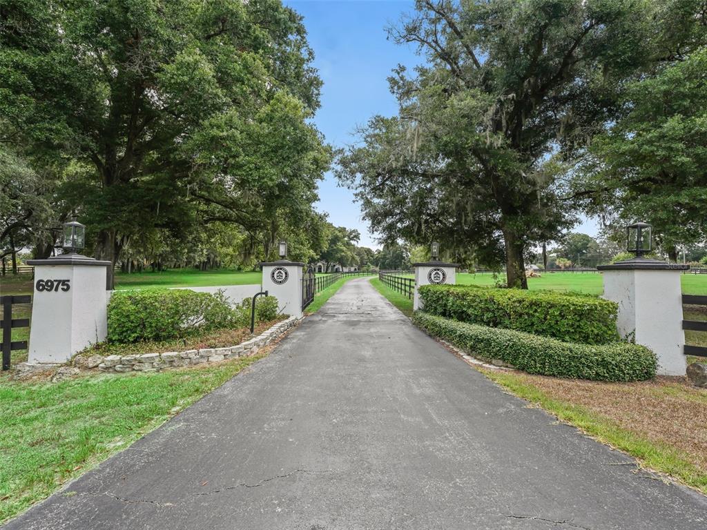 A paved driveway leads through a gated entrance flanked by white pillars and large trees — 6975 NW HIGHWAY 225A, OCALA, FL