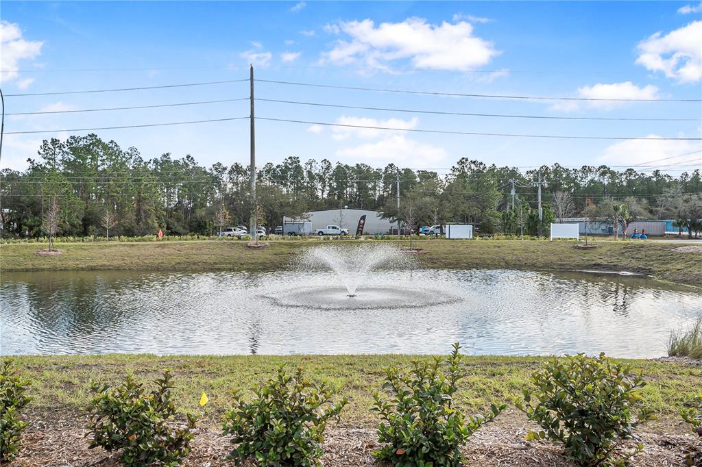 A pond with a central fountain is surrounded by grass, trees, and a utility pole — 24 HARGROVE GRADE, PALM COAST, FL