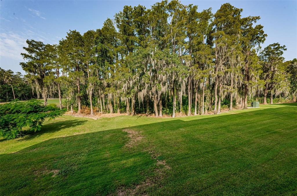 36750 US HIGHWAY 19 N UNIT 3-209, PALM HARBOR, FL — photo 3 of 99