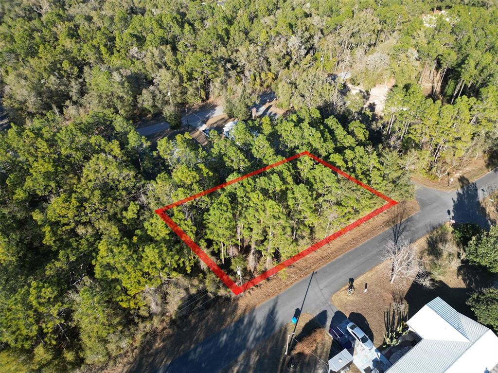 An aerial view shows a rectangular, wooded vacant lot outlined in red along a road — 3153 E MAY STREET, INVERNESS, FL