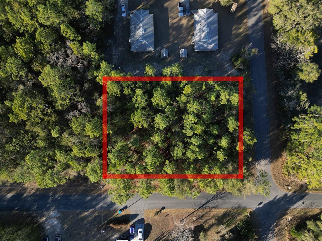 An aerial view shows a rectangular wooded lot outlined in red next to a road — 3153 E MAY STREET, INVERNESS, FL