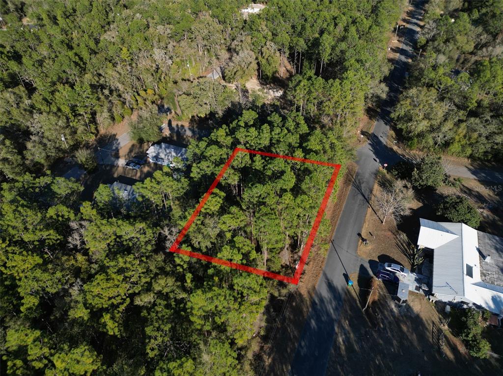 An aerial view shows a rectangular plot of land outlined in red amidst dense trees — 3153 E MAY STREET, INVERNESS, FL