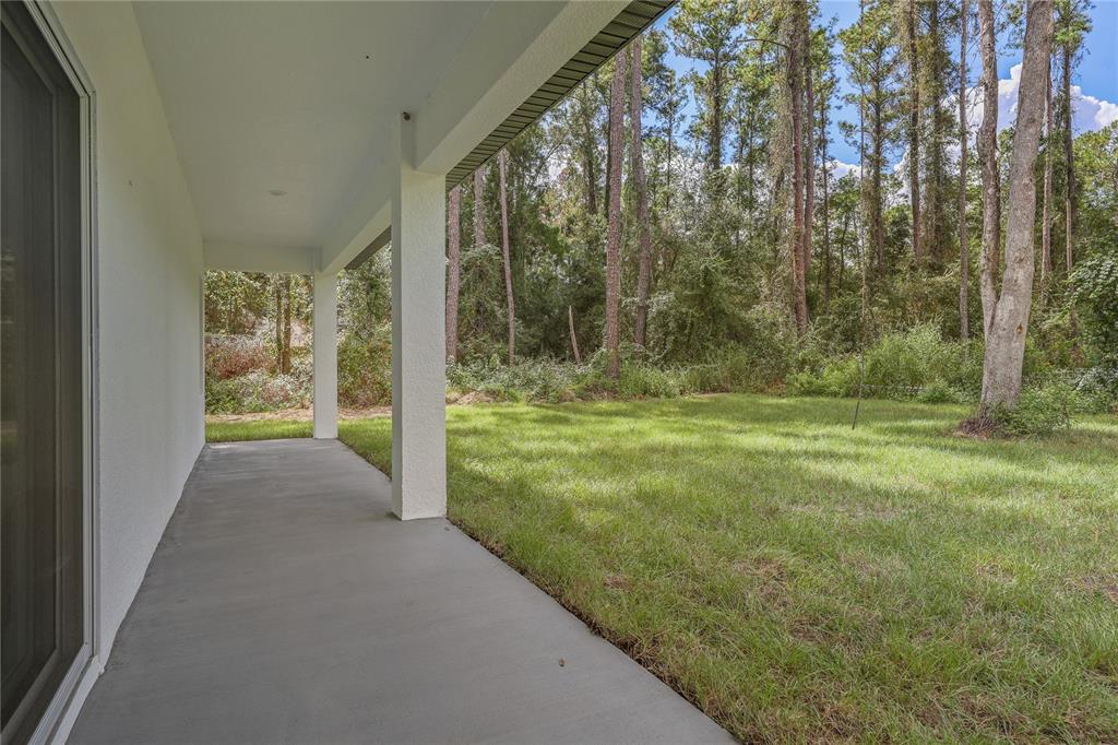 A covered concrete patio overlooks a grassy backyard bordered by a dense forest of trees — 7833 SW 148TH STREET, OCALA, FL