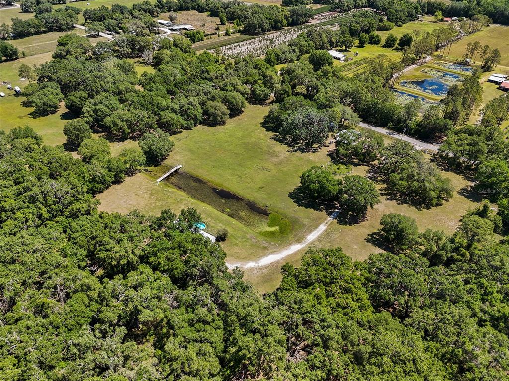 An aerial view shows a large grassy field with a pond, trees, and a driveway — 11902 CR 727, WEBSTER, FL