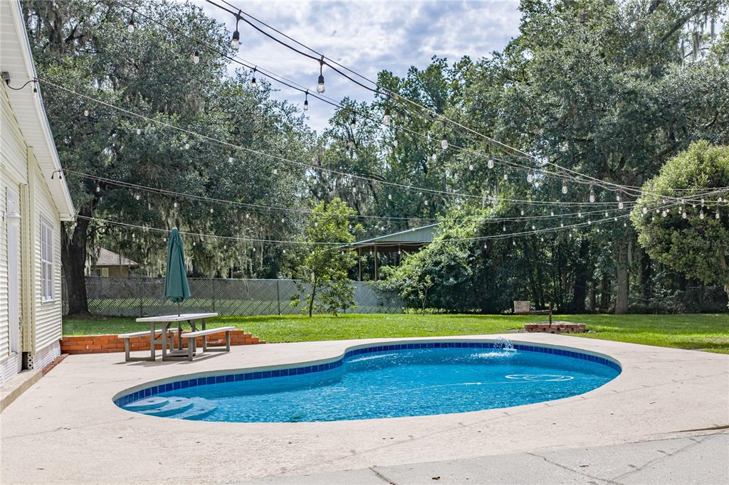 A backyard features a kidney-shaped swimming pool, a picnic table, and overhead string lights — 3501 E TRAPNELL ROAD, PLANT CITY, FL