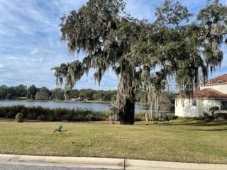 A large oak tree with Spanish moss stands on a grassy lawn near a lake — 519 W BLUE WATER EDGE DRIVE, EUSTIS, FL