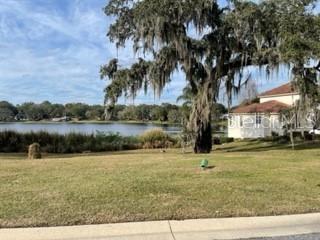 A grassy yard leads to a lake with a large tree and a house nearby — 519 W BLUE WATER EDGE DRIVE, EUSTIS, FL