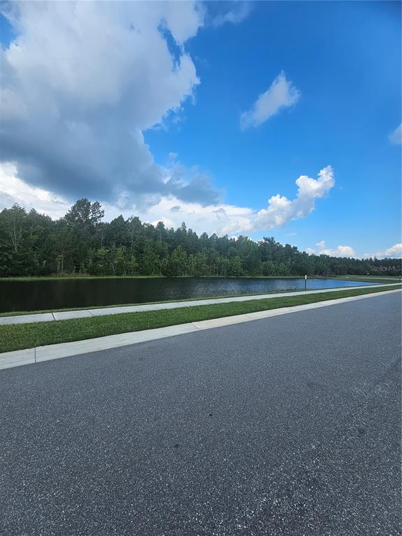 A paved road runs alongside a grassy strip and a pond bordering a dense forest — 1504 FOX SQUIRREL DRIVE, DAVENPORT, FL