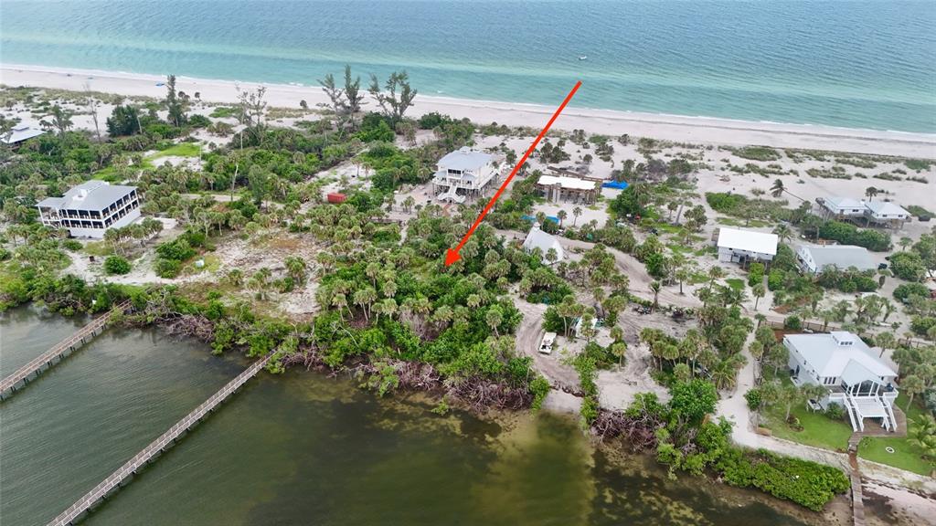 An aerial view shows a coastal property with a red arrow pointing toward a wooded lot — 9144 CARTER ST, PLACIDA, FL