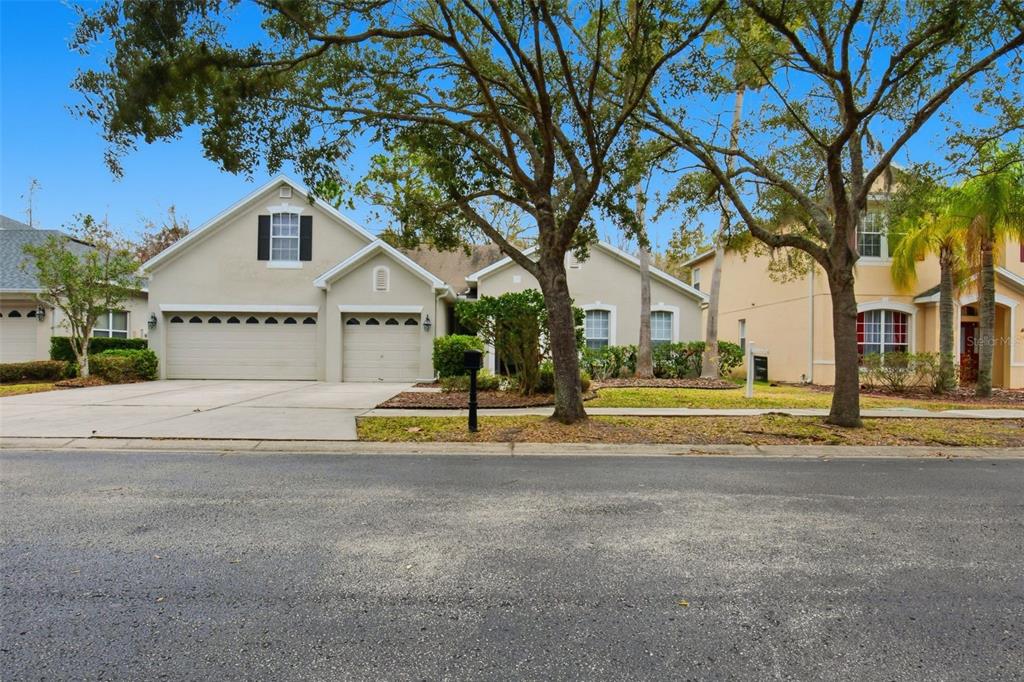 16161 COLCHESTER PALMS DRIVE