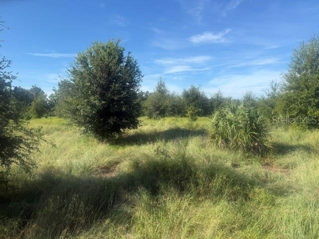 WELCOME ROAD Lot 1, LITHIA, FL — photo 2 of 5