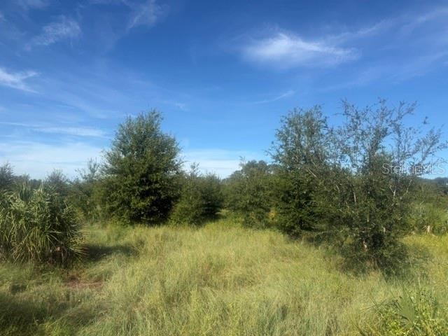 WELCOME ROAD Lot 1, LITHIA, FL — photo 3 of 5