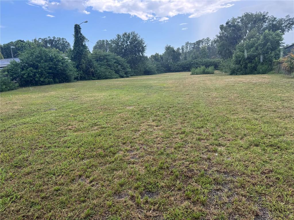 A wide, grassy vacant lot is surrounded by trees under a partly cloudy sky — LAND O' LAKES BLVD., LAND O LAKES, FL
