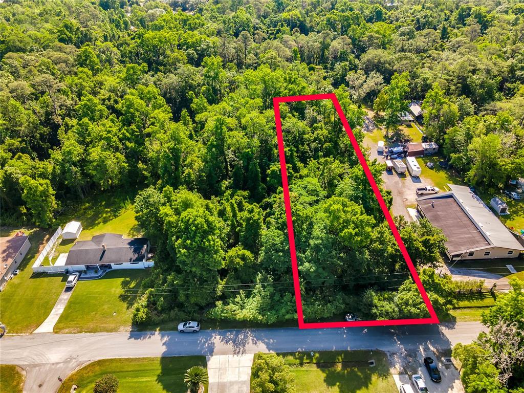 An aerial view shows a rectangular, tree-covered vacant lot outlined in red next to buildings — 2209 GRAYSON DRIVE, ORLANDO, FL