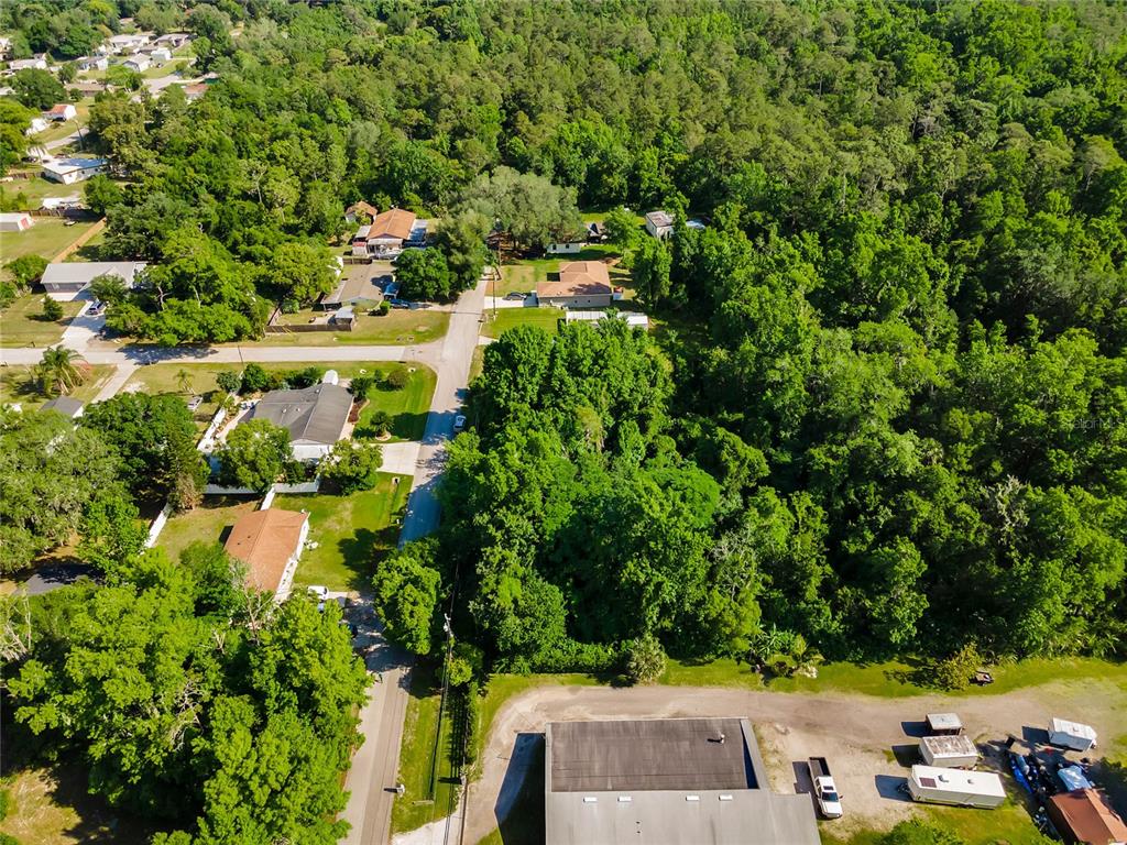 An aerial view shows a residential street with houses surrounded by dense trees and vegetation — 2209 GRAYSON DRIVE, ORLANDO, FL