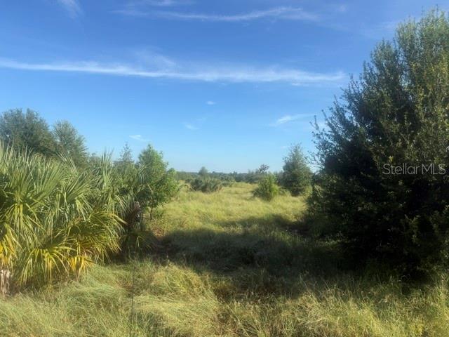 WELCOME ROAD Lot 2, LITHIA, FL — photo 2 of 4