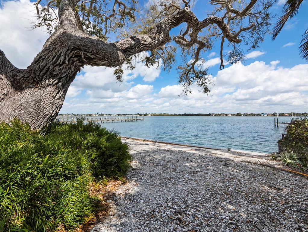 A large tree overhangs a shell-covered path leading to a waterfront view with a dock — 1267 STARBOARD LANE, SARASOTA, FL