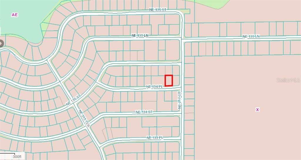 This is a map showing a highlighted parcel of land in a residential neighborhood — NE 134 PL, SALT SPRINGS, FL