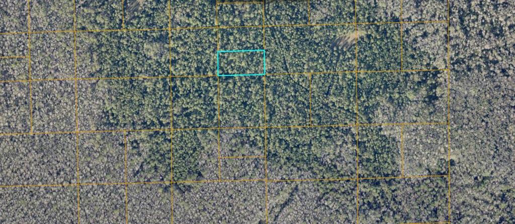 An aerial map shows a rectangular plot of land highlighted in blue within a forest — UNIMPROVED, DE LEON SPRINGS, FL
