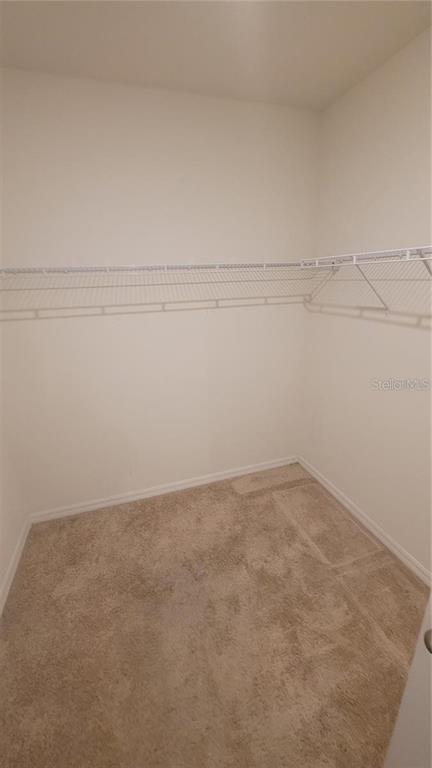A walk-in closet with beige carpeting and white wire shelving installed on the walls — 1128 FOX PATH ROAD, DAVENPORT, FL