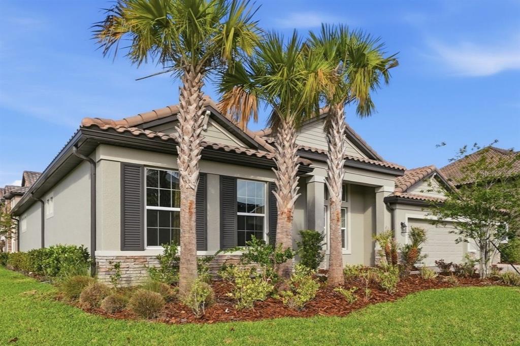A single-story house with a tiled roof, palm trees, and a landscaped front yard — 7073 GRAYBROOK DRIVE, WESLEY CHAPEL, FL