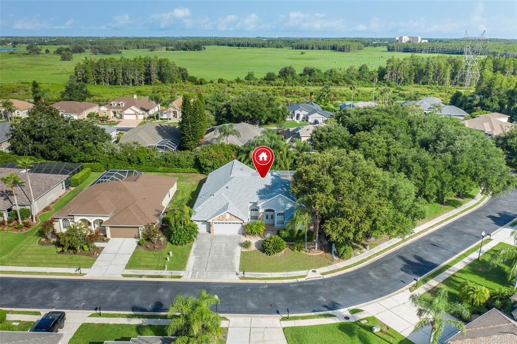 An aerial view shows a single-story house with a grey roof in a suburban neighborhood — 2151 EDELWEISS LOOP, TRINITY, FL