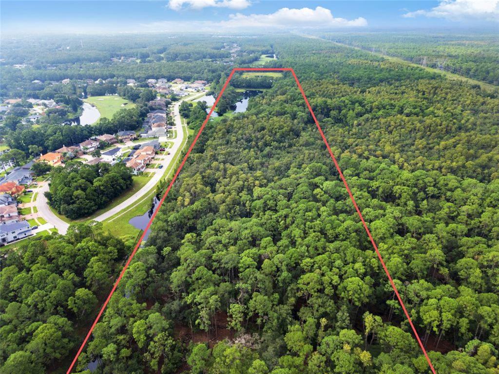 An aerial view shows a wooded plot of land outlined in red near a residential neighborhood — UNPLATTED, ODESSA, FL