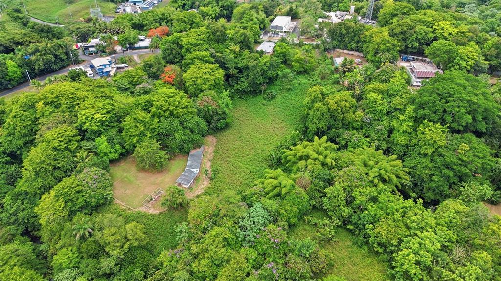An aerial view shows a wooded, irregularly shaped plot of land outlined in red — PR 176 KM6.6 CUPEY ALTO, SAN JUAN, PR