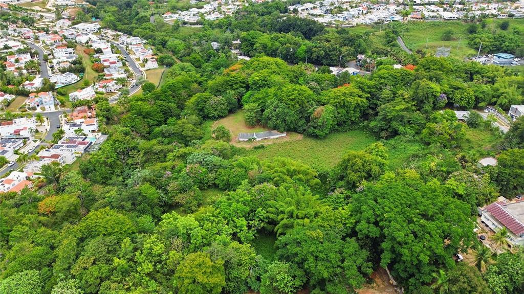 A dirt clearing sits in front of a dense line of trees and foliage — PR 176 KM6.6 CUPEY ALTO, SAN JUAN, PR