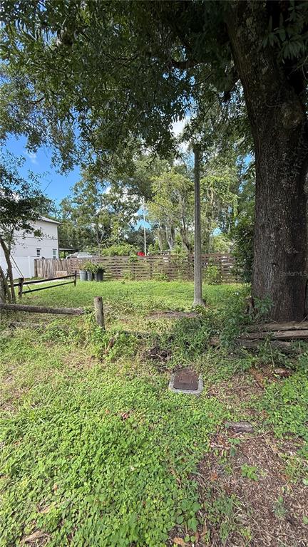 A grassy backyard features a large tree, a wooden fence, and a utility access cover — 8602 N ROME AVENUE, TAMPA, FL