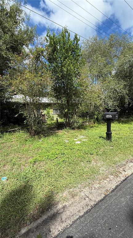 A house is partially obscured by trees behind a mailbox on a grassy lot — 8602 N ROME AVENUE, TAMPA, FL