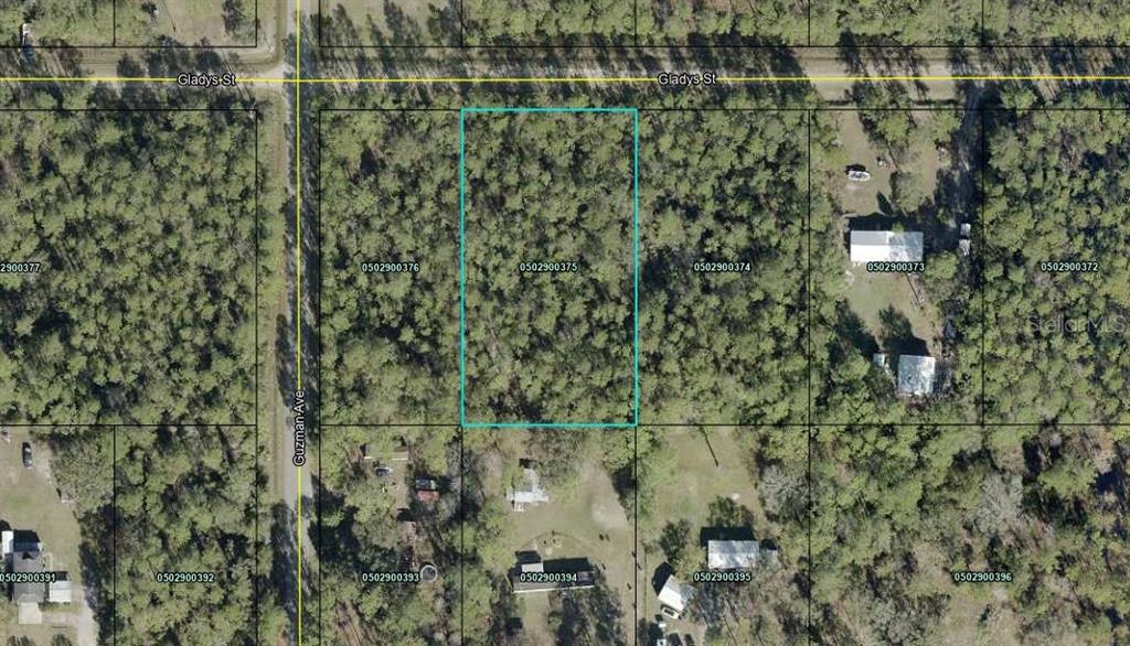 4265 GLADYS STREET, HASTINGS, FL — photo 2 of 8