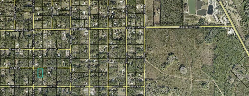 4265 GLADYS STREET, HASTINGS, FL — photo 3 of 8